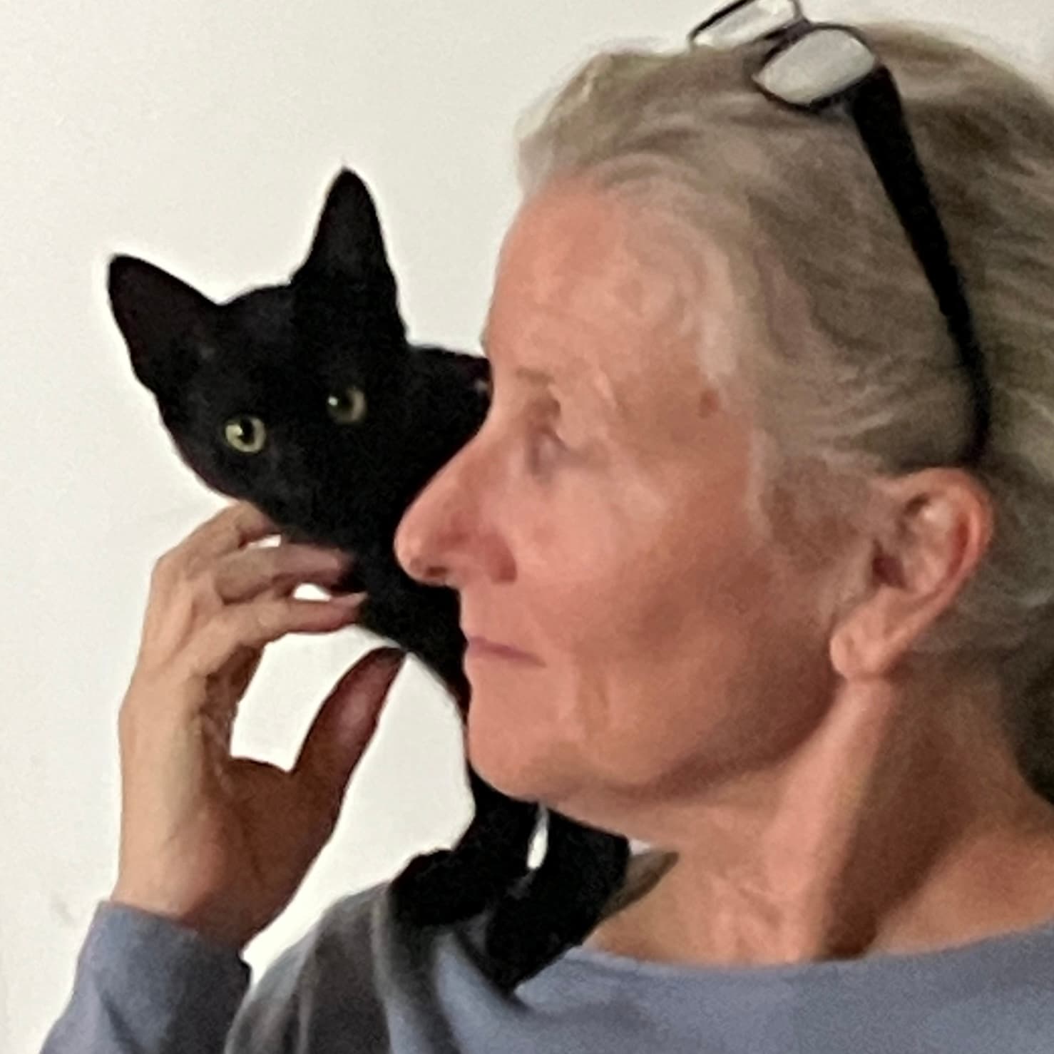 Het zwarte kitten Kara kijkt vanaf de schouder van Sacha de wereld in